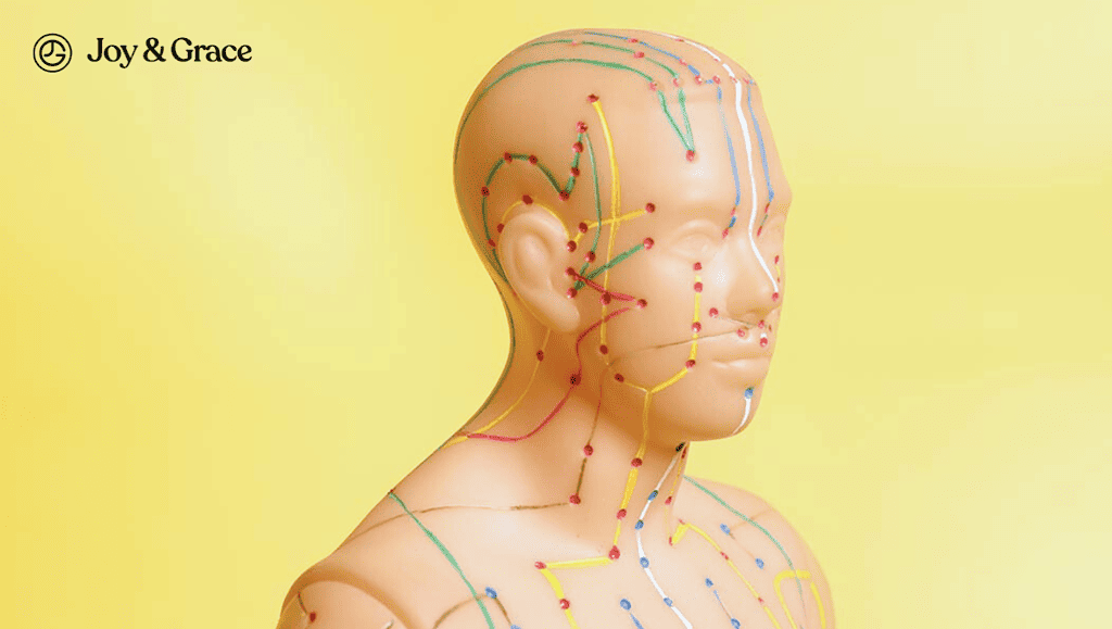 a dummy mannequin with acupuncture points