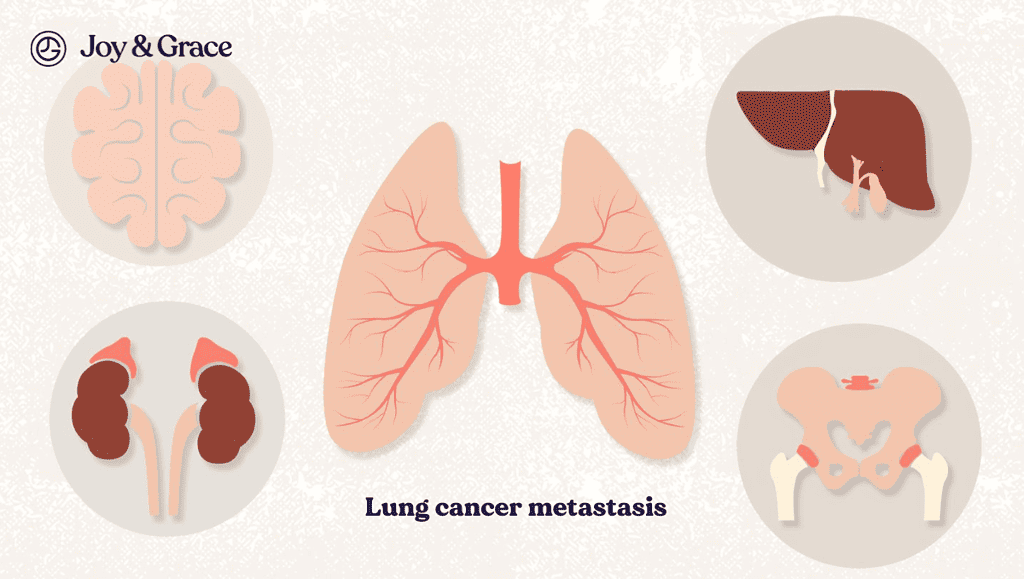 lungs, livers and other organs are depicted in different images