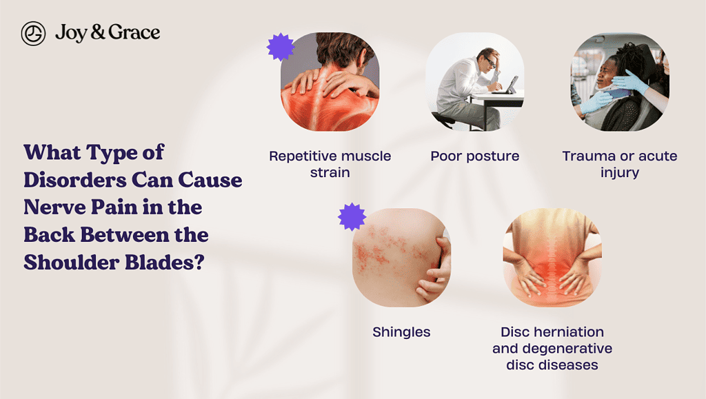 images of type of disorders that can cause nerve pain in the back between the shoulder blades