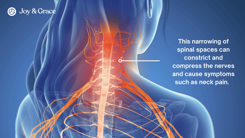 a woman's back with spinal pain and neck pain