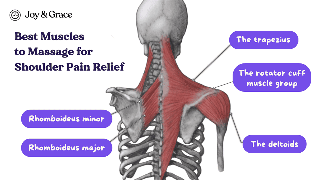 Unveiling The Truth: Can Massage Relieve Shoulder Pain by targeting specific muscles?