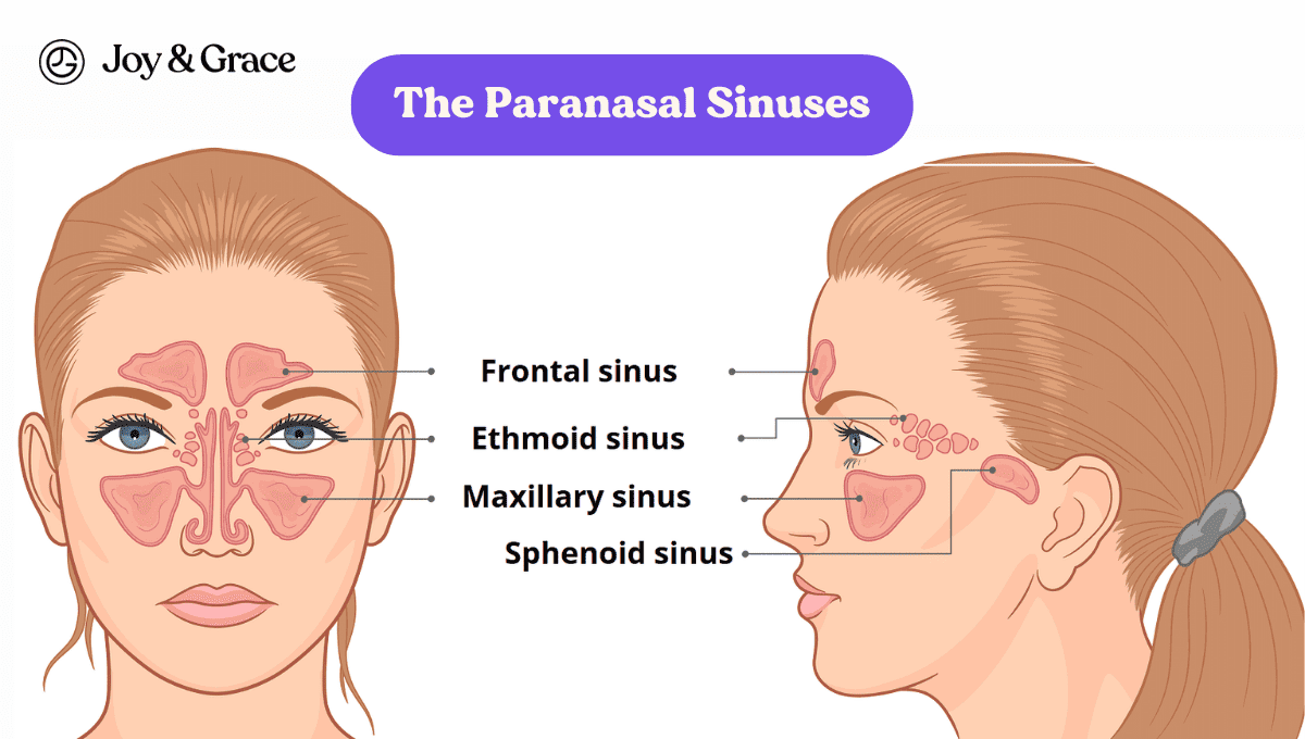 can-a-sinus-infection-cause-neck-and-shoulder-pain