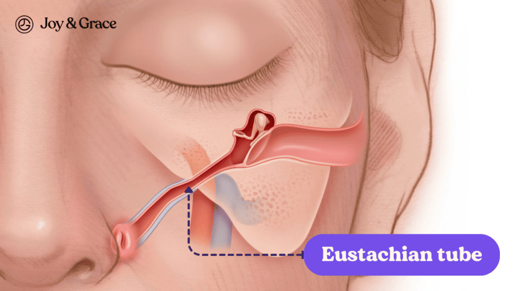 Eustachian tube behind ear pain