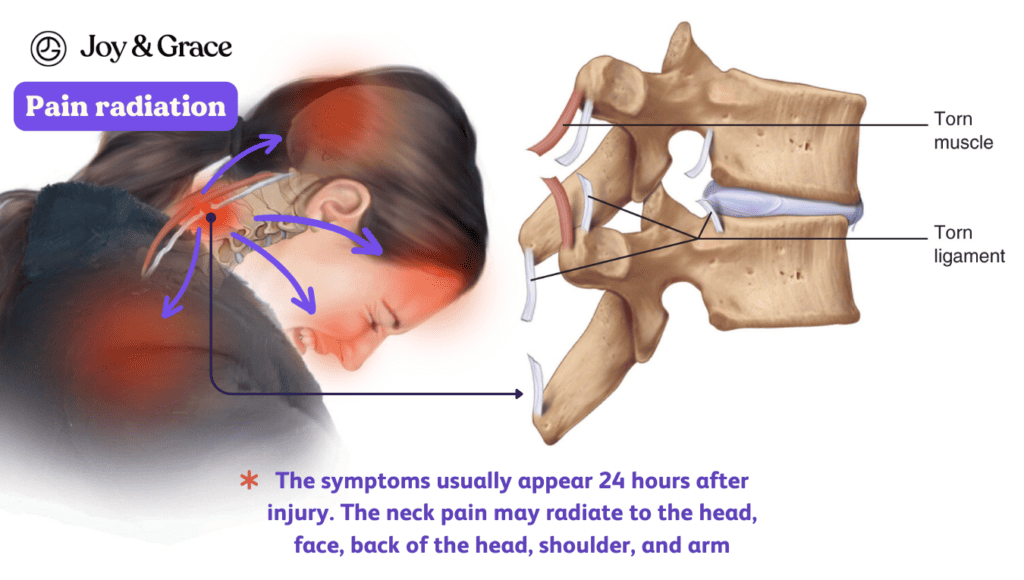 A diagram of a woman's neck depicting the various causes of neck pain.