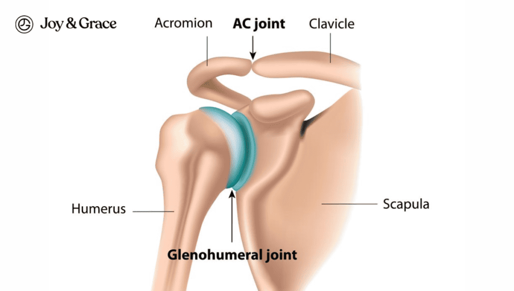 A diagram showing the anatomy of the shoulder joint, focusing on common causes of shoulder pain such as rheumatoid arthritis.