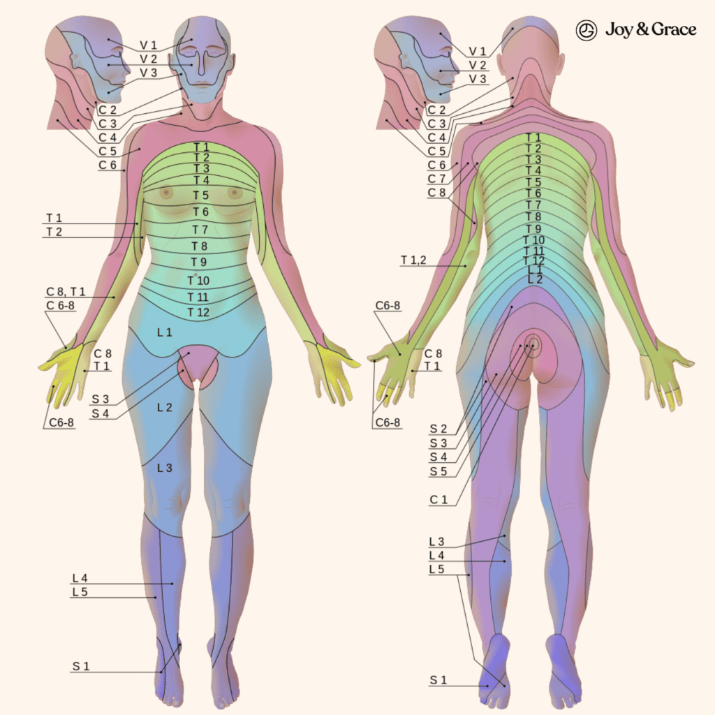 A diagram of a woman's body with different parts labeled, highlighting the connection between shoulder pain and ectopic pregnancy.